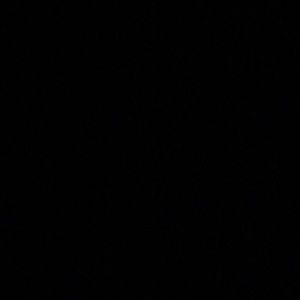 Meet your Posher, Mia